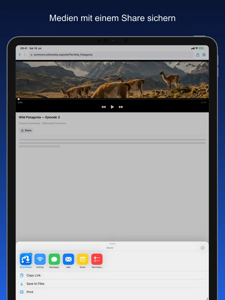 Share2Save – Medien mit einem Share sichern (iPad)