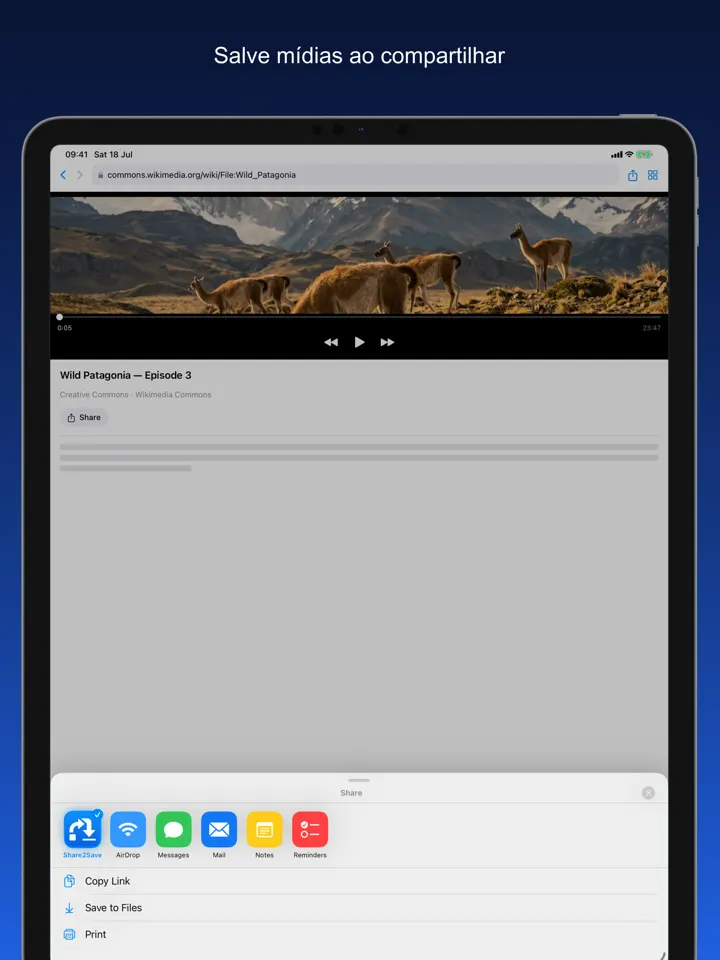 Share2Save – Salve mídias ao compartilhar (iPad)