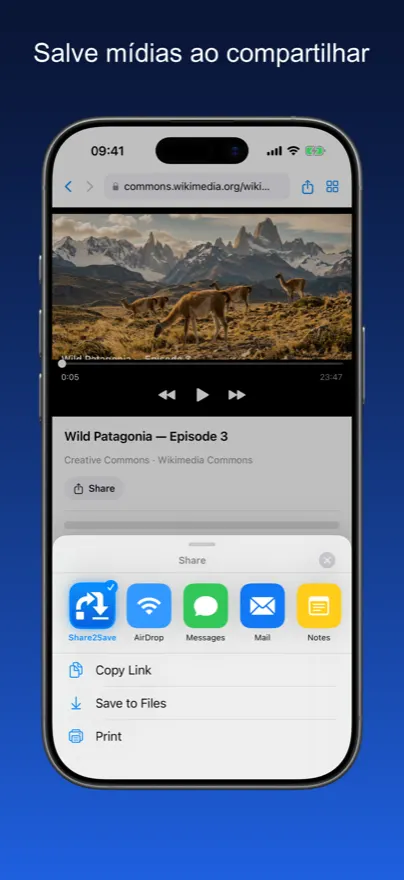 Share2Save – Salve mídias ao compartilhar (iPhone)