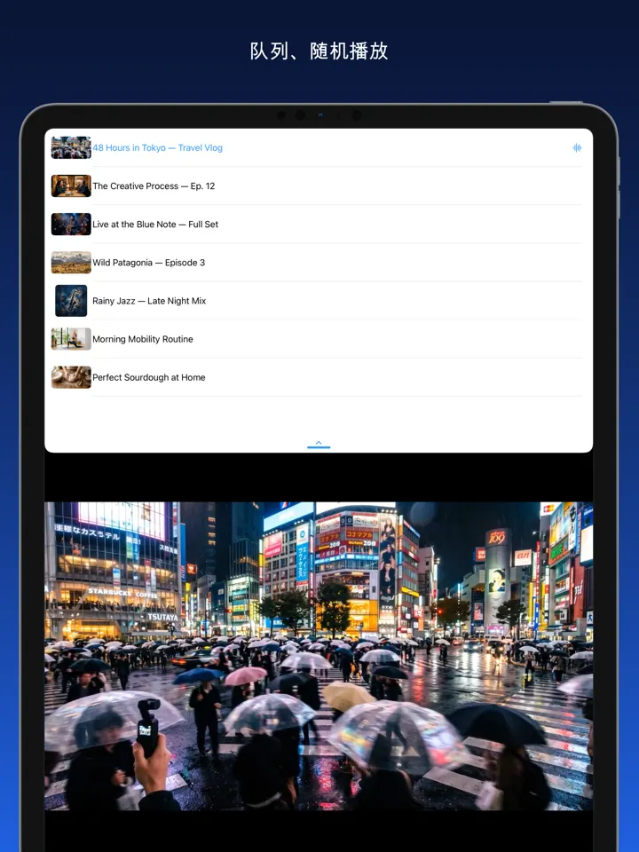 Share2Save – 队列、随机播放 (iPad)