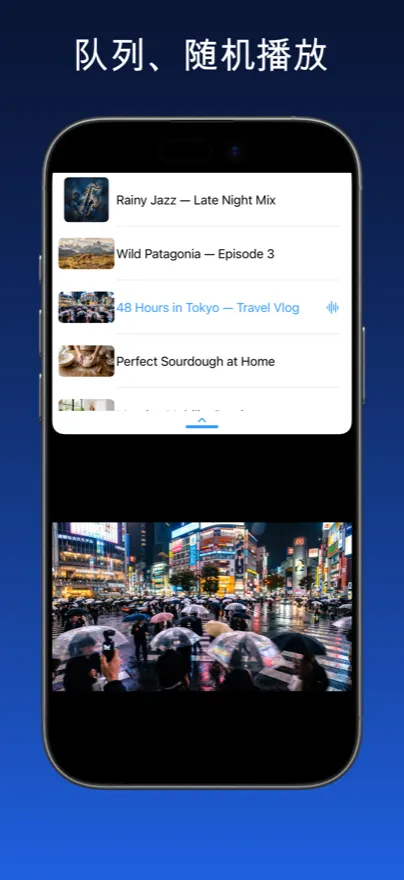 Share2Save – 队列、随机播放 (iPhone)